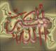 islam-deen-inoe
