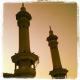 Miss_Tashel7it