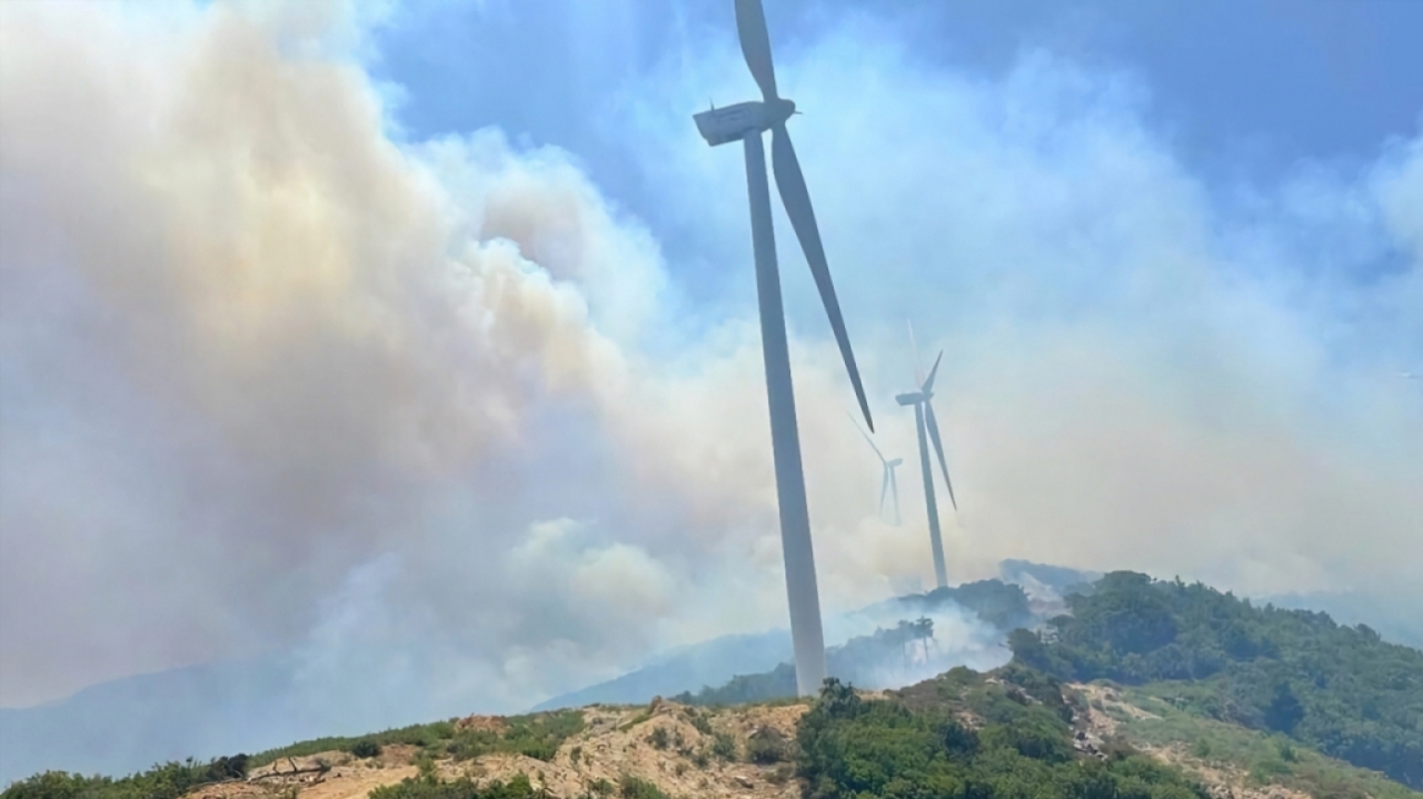 Bosbranden in Marokko verwoesten 70% minder oppervlakte dan in 2022
