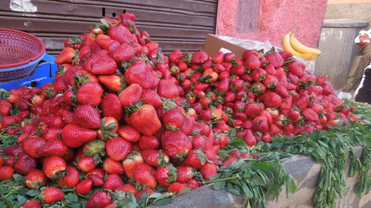 Family in Morocco in coma and blind after eating strawberries, authorities open investigation