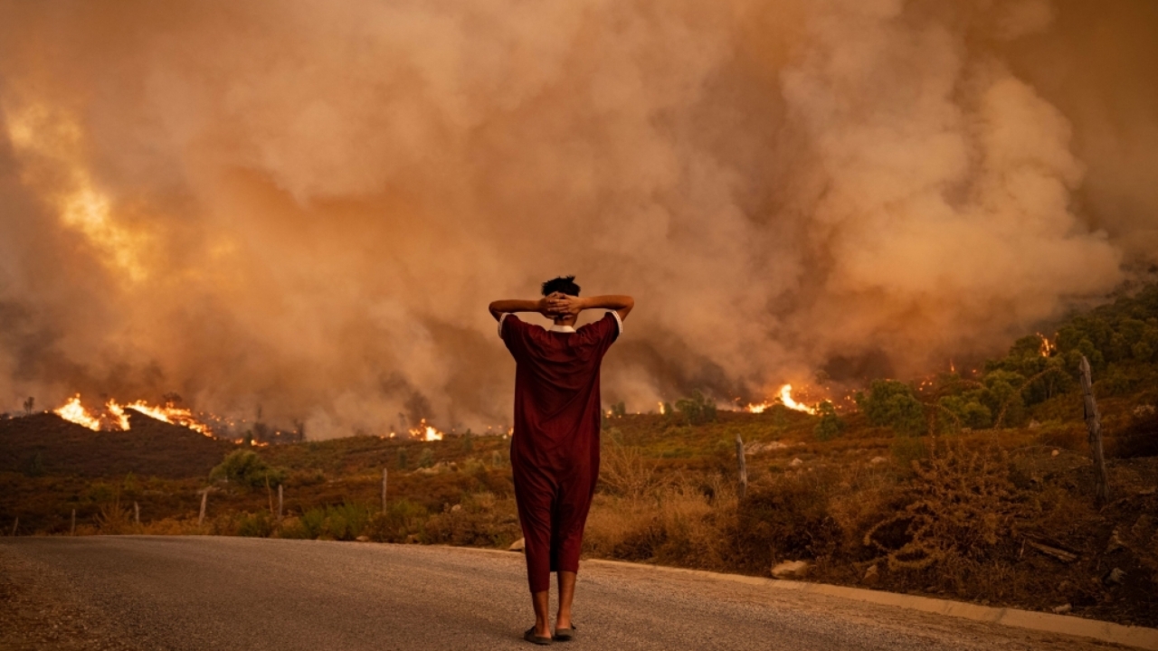 Hittegolf leidt opnieuw tot verhoogd bosbrandgevaar in Marokko