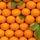 Export van Marokkaanse citrusproducten zal dalen als gevolg van een tekort aan regen