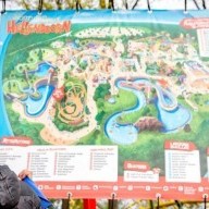 Arabieren kopen Avonturenpark Hellendoorn